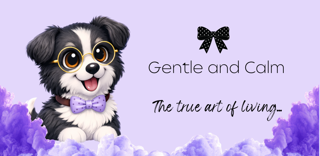 WithYou feature graphic